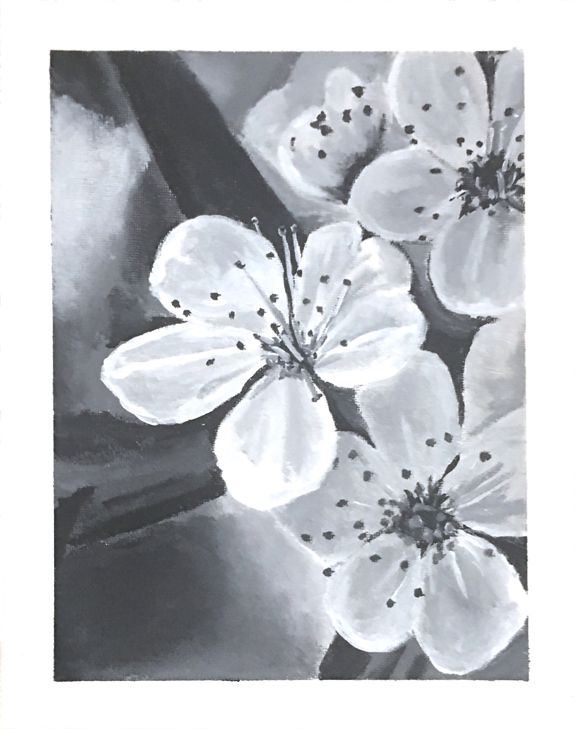 Black and White Flowers. Acrylic Paint. January 2, 2021